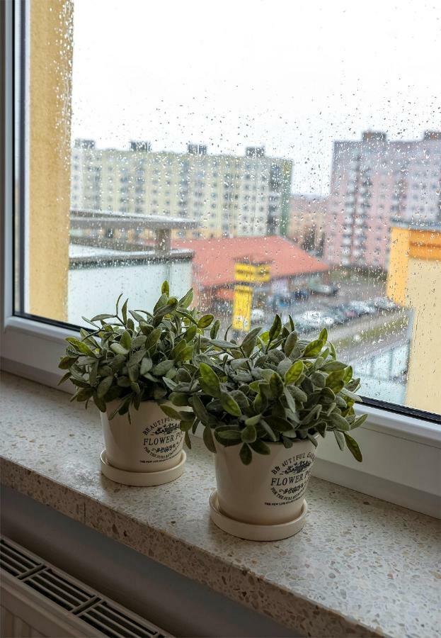 Top Floor Apartment Gorzów Wielkopolski Εξωτερικό φωτογραφία